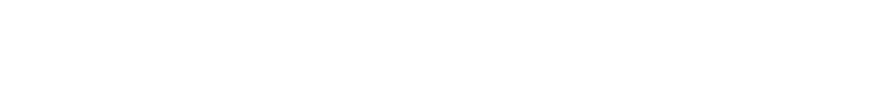 Donna ernestina logo white